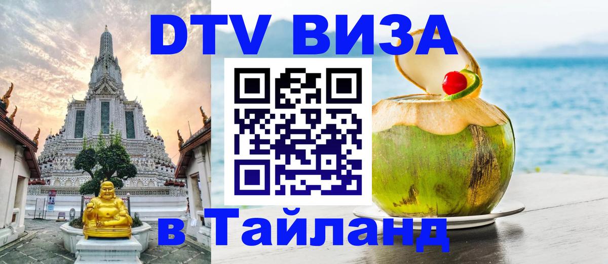 Оформление DTV визы под ключ: стоимость и тарифы, только загранпаспорт - Сыктывкар 